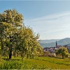 schöner kann Frühling nicht sein.