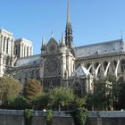 Schöner Morgen an der Notre Dame