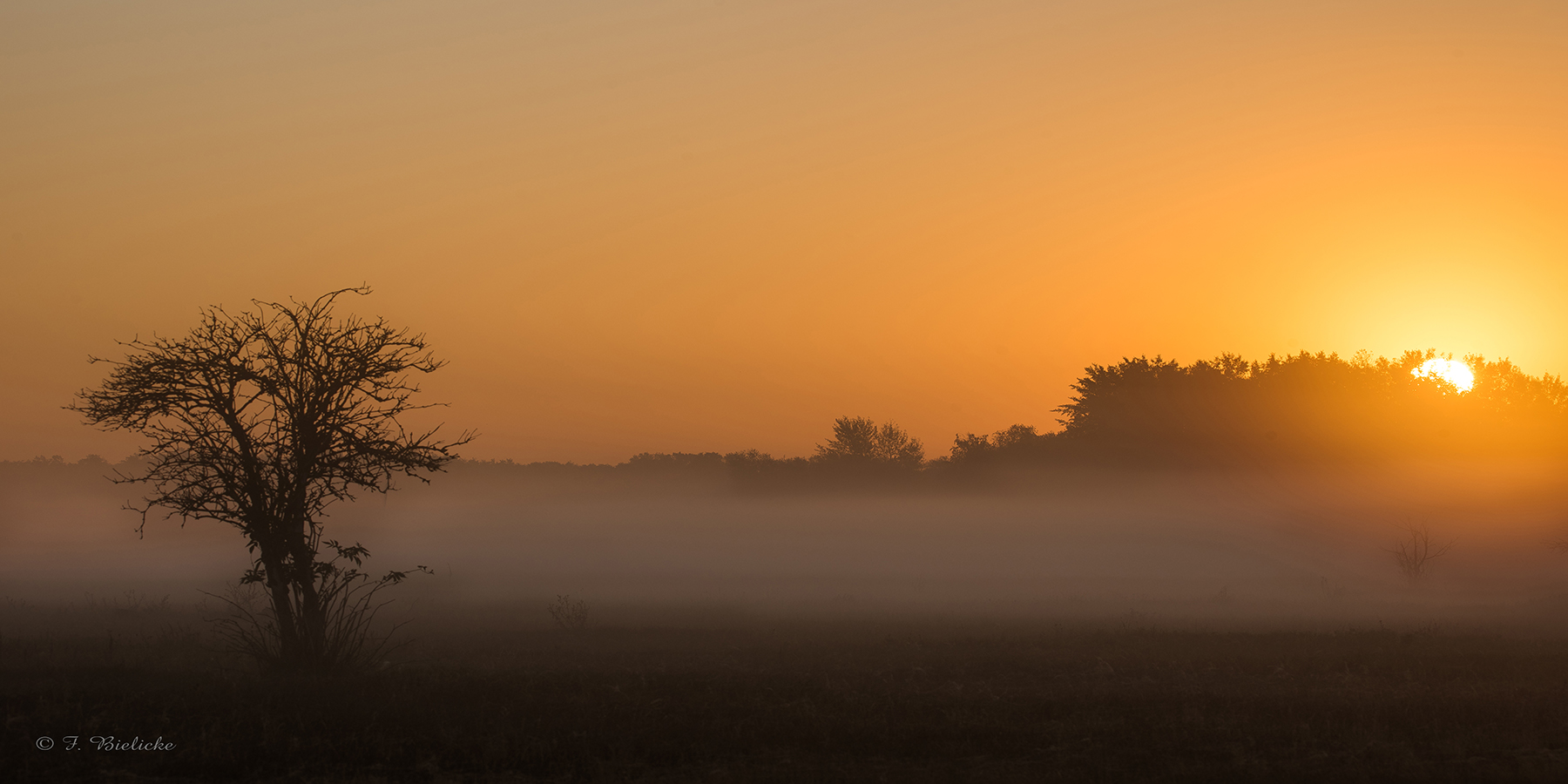 Schöner Morgen