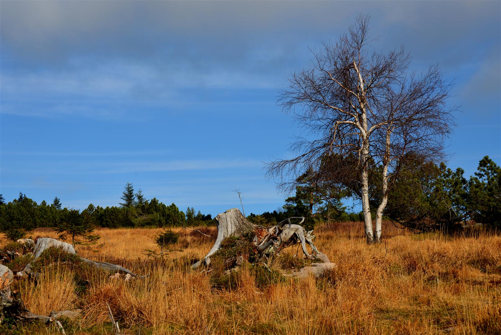 Schöner Nordschwarzwald