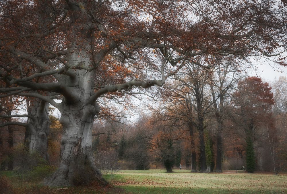 schöner November