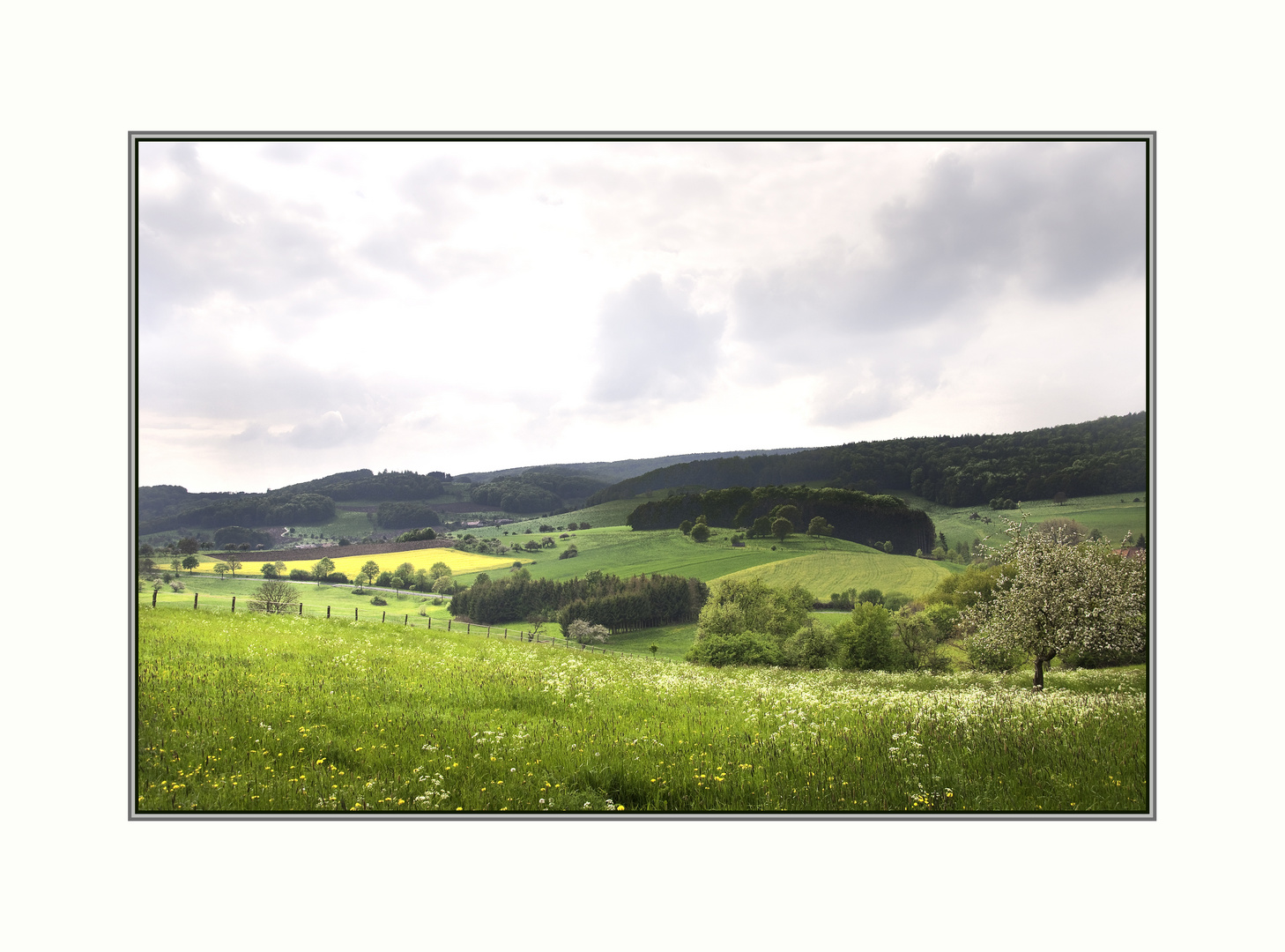 schöner Odenwald