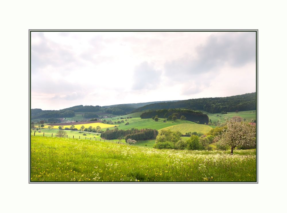 schöner Odenwald