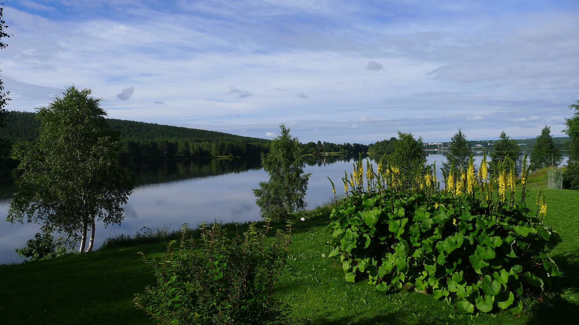 schöner Platz am Kemijoki in Rovaniemi