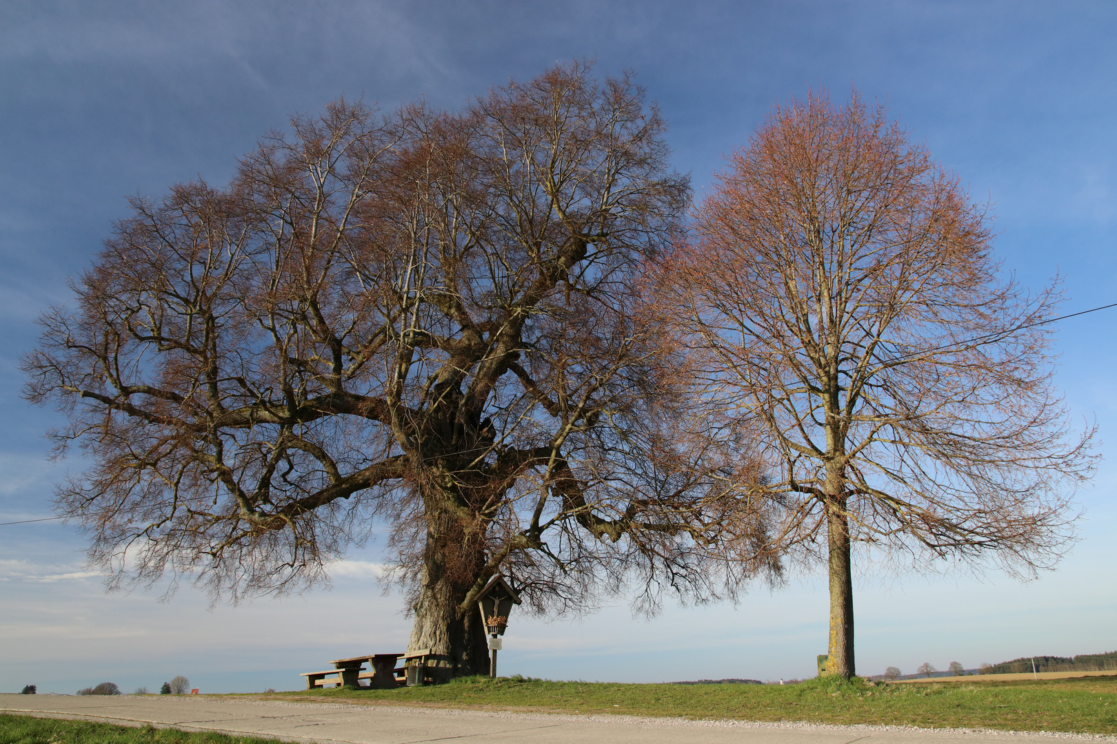 Schöner Platz an der alten Linde