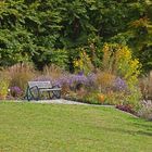 schöner Platz - Botanischer Garten Ulm