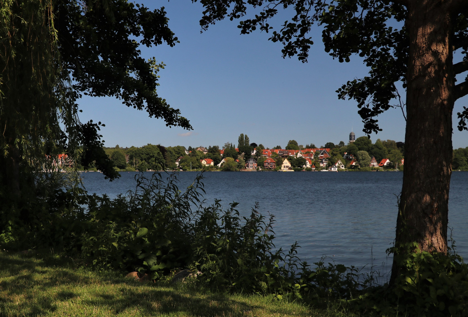 schöner Plöner Durchblick