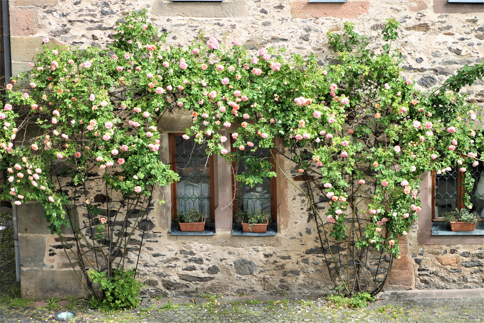 Schöner Rahmen