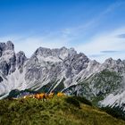 Schöner Rastplatz, leider schon besetzt