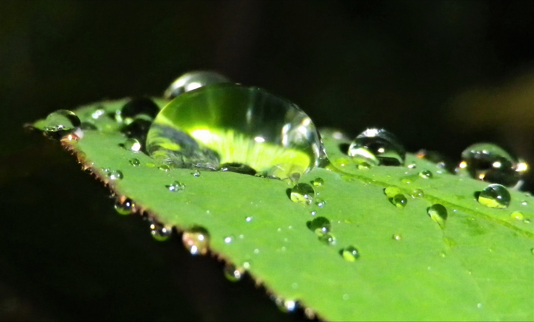 Schöner Regen