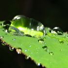 Schöner Regen