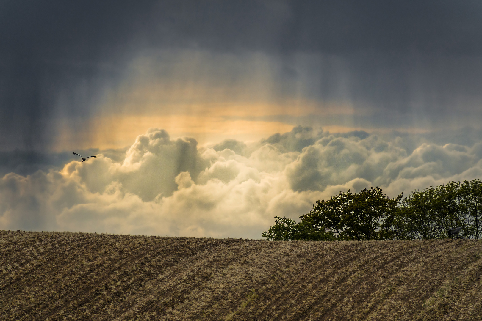 Sch ner Regen  Foto Bild  landschaft himmel cker 