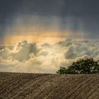 Schöner Regen