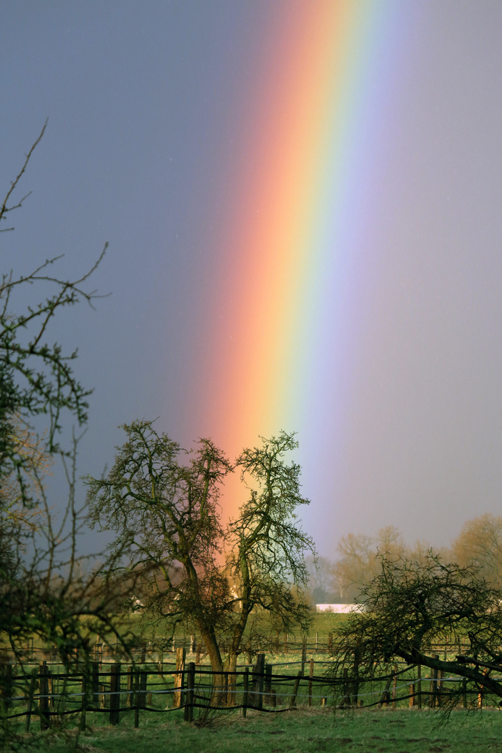 Schöner Regenbogen, oder? :-)