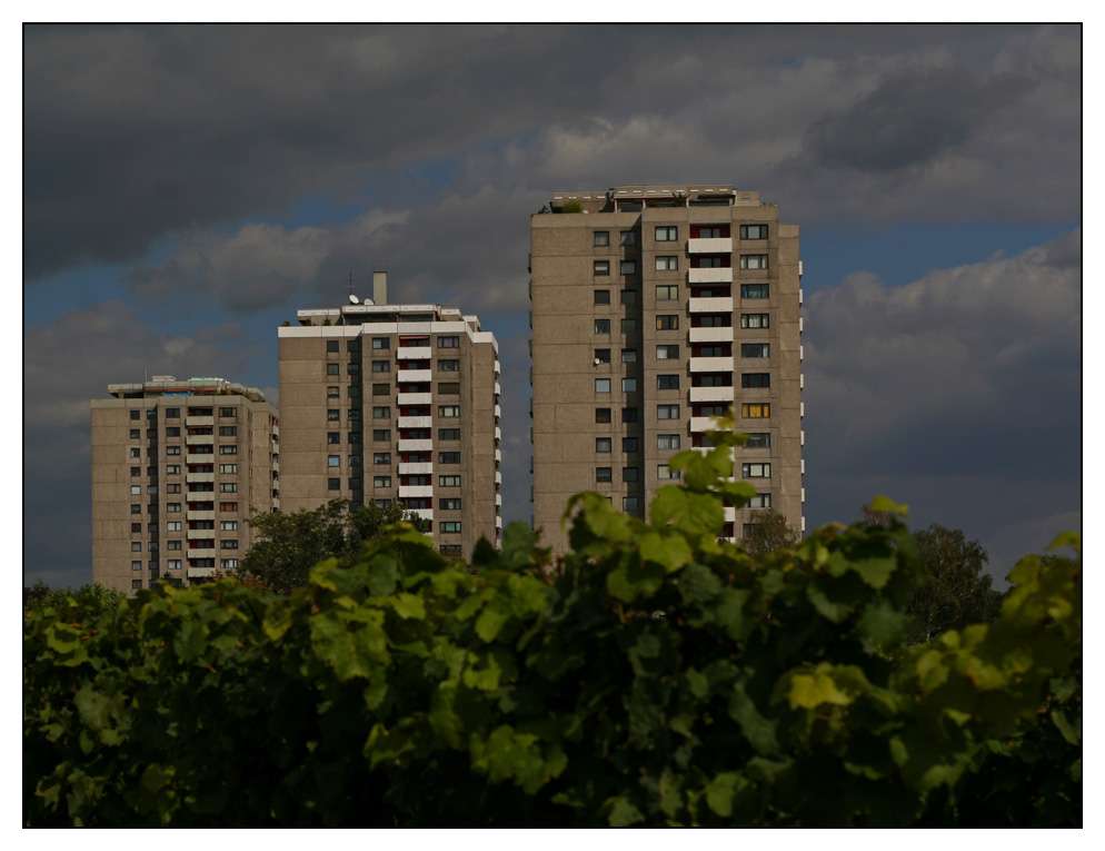 schöner Rheingau