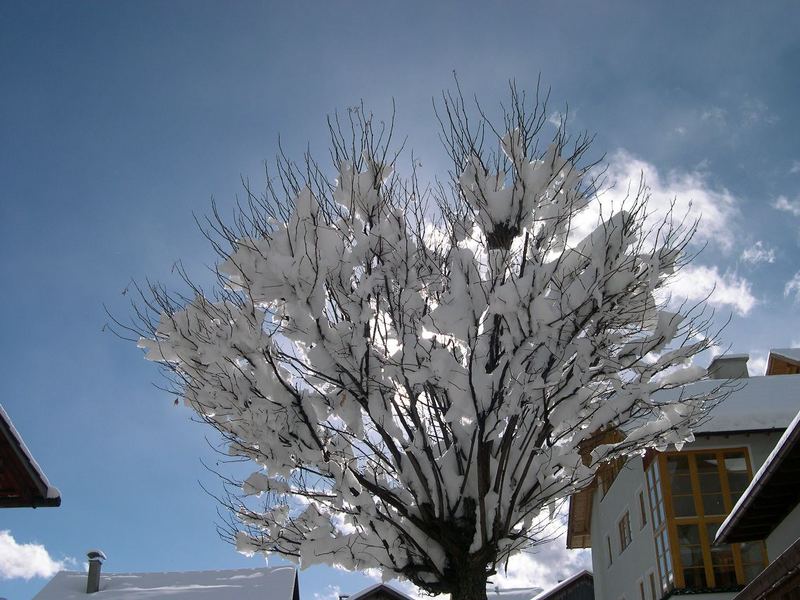 Schöner Schnee