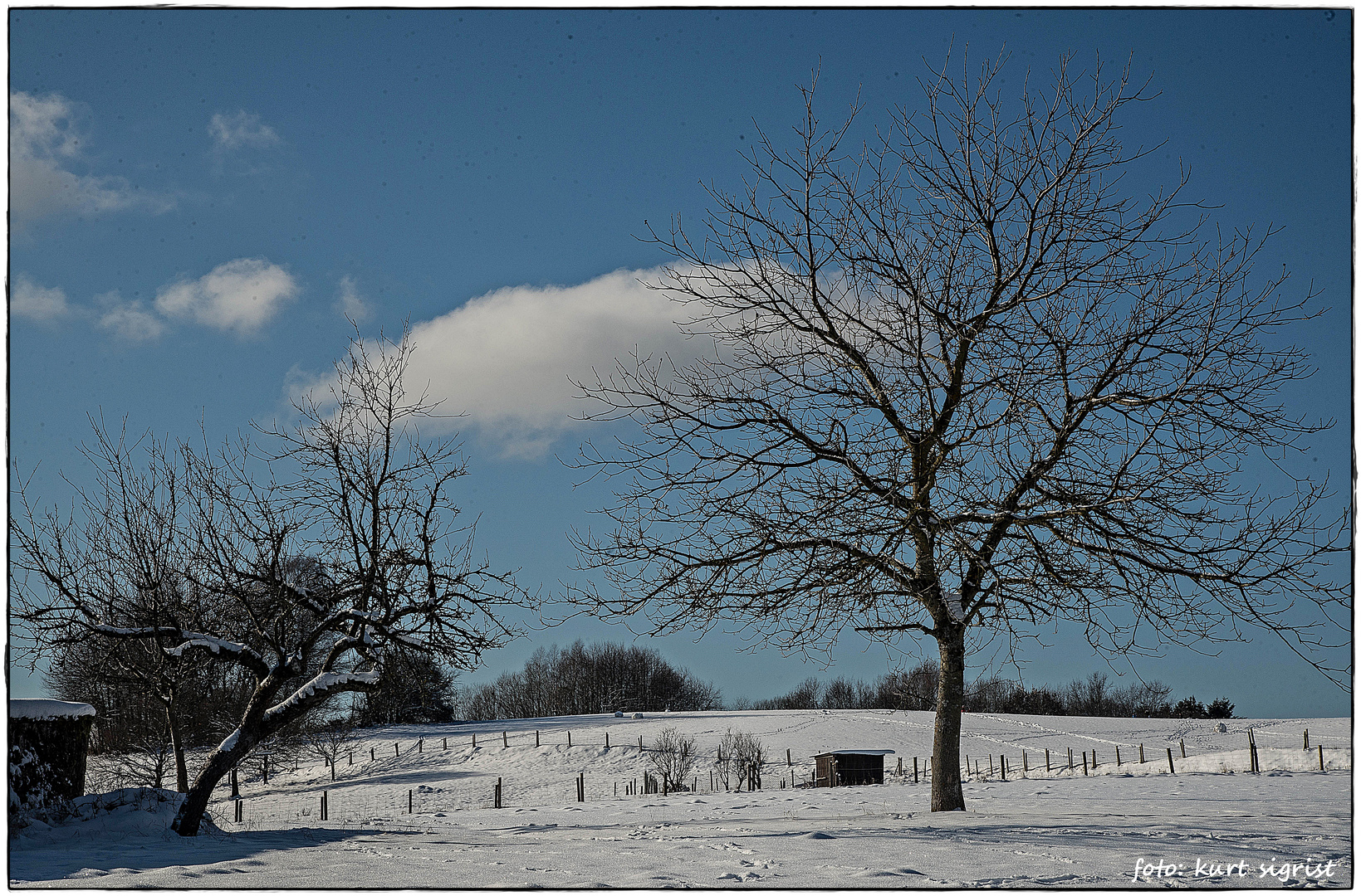 Schöner Schnee im Odenwald...frostig