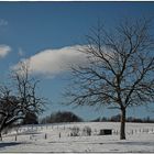 Schöner Schnee im Odenwald...frostig