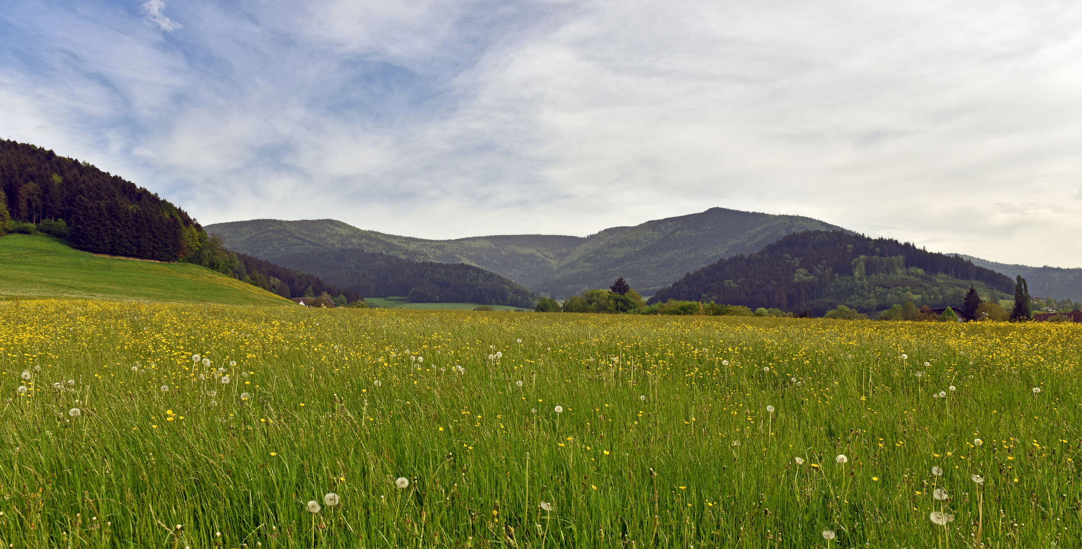 "schöner Schwarzwald"