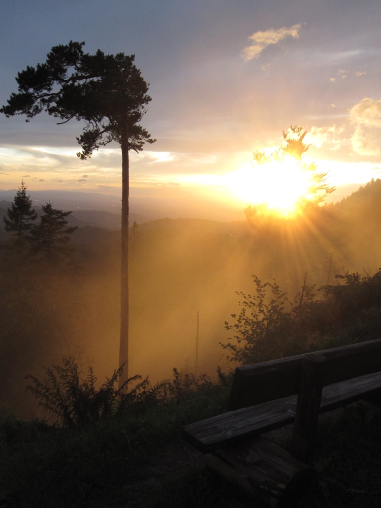 Schöner Schwarzwald...