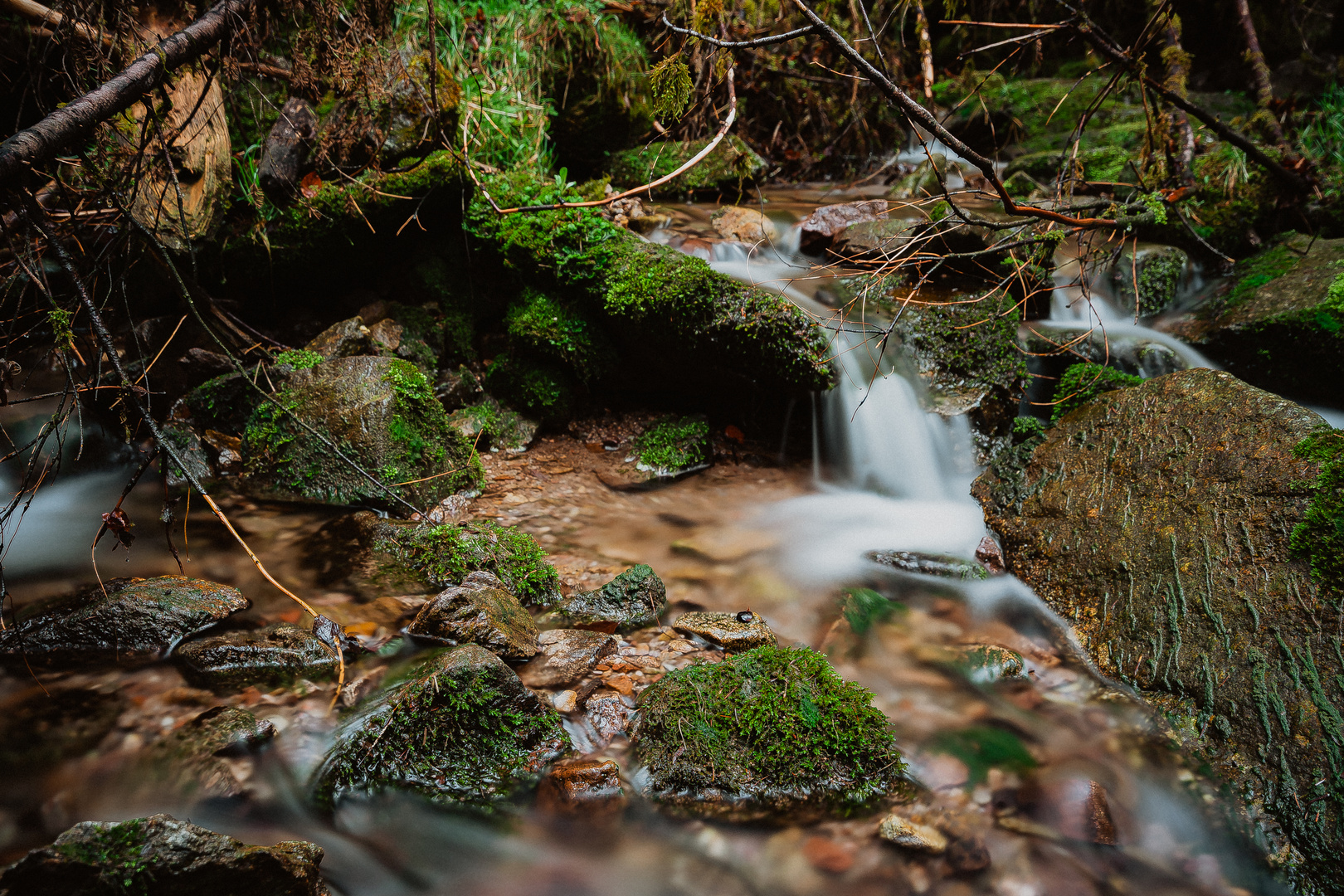 Schöner Schwarzwald