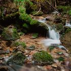 Schöner Schwarzwald