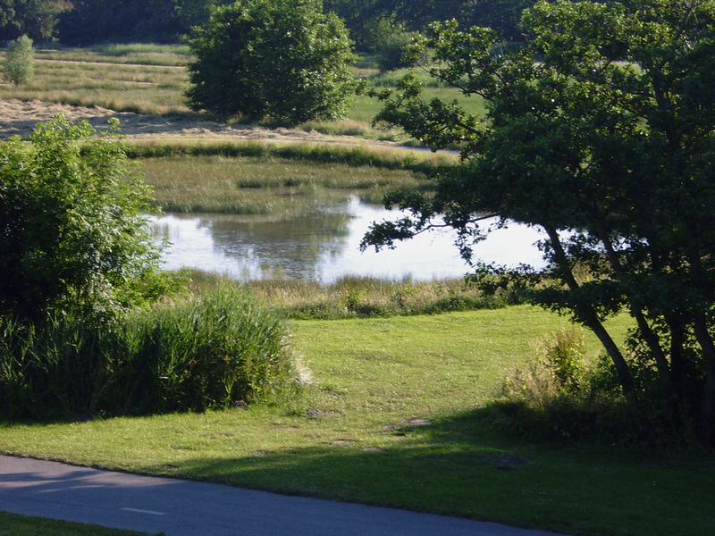 schöner See