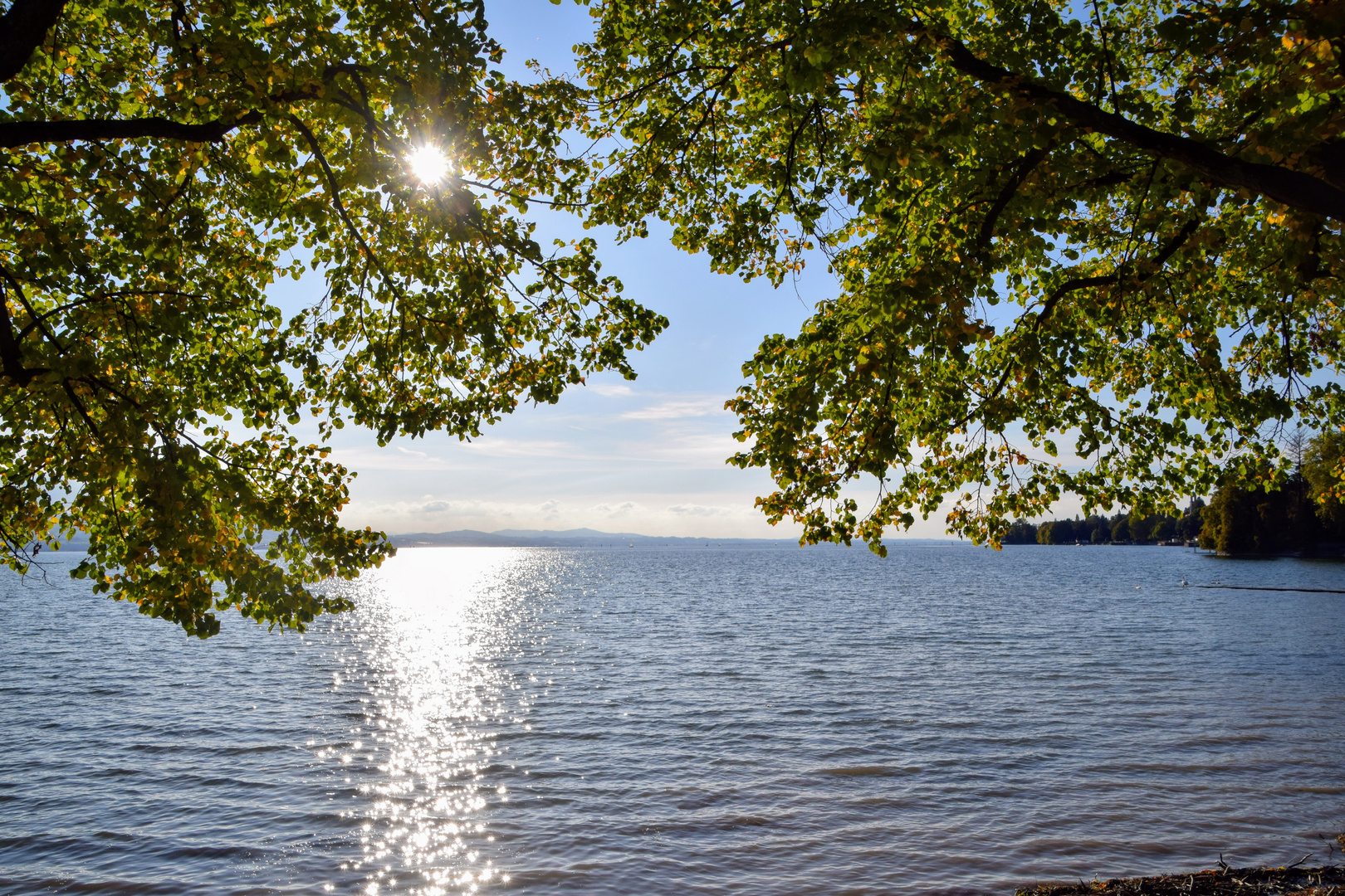 Schöner Seeblick