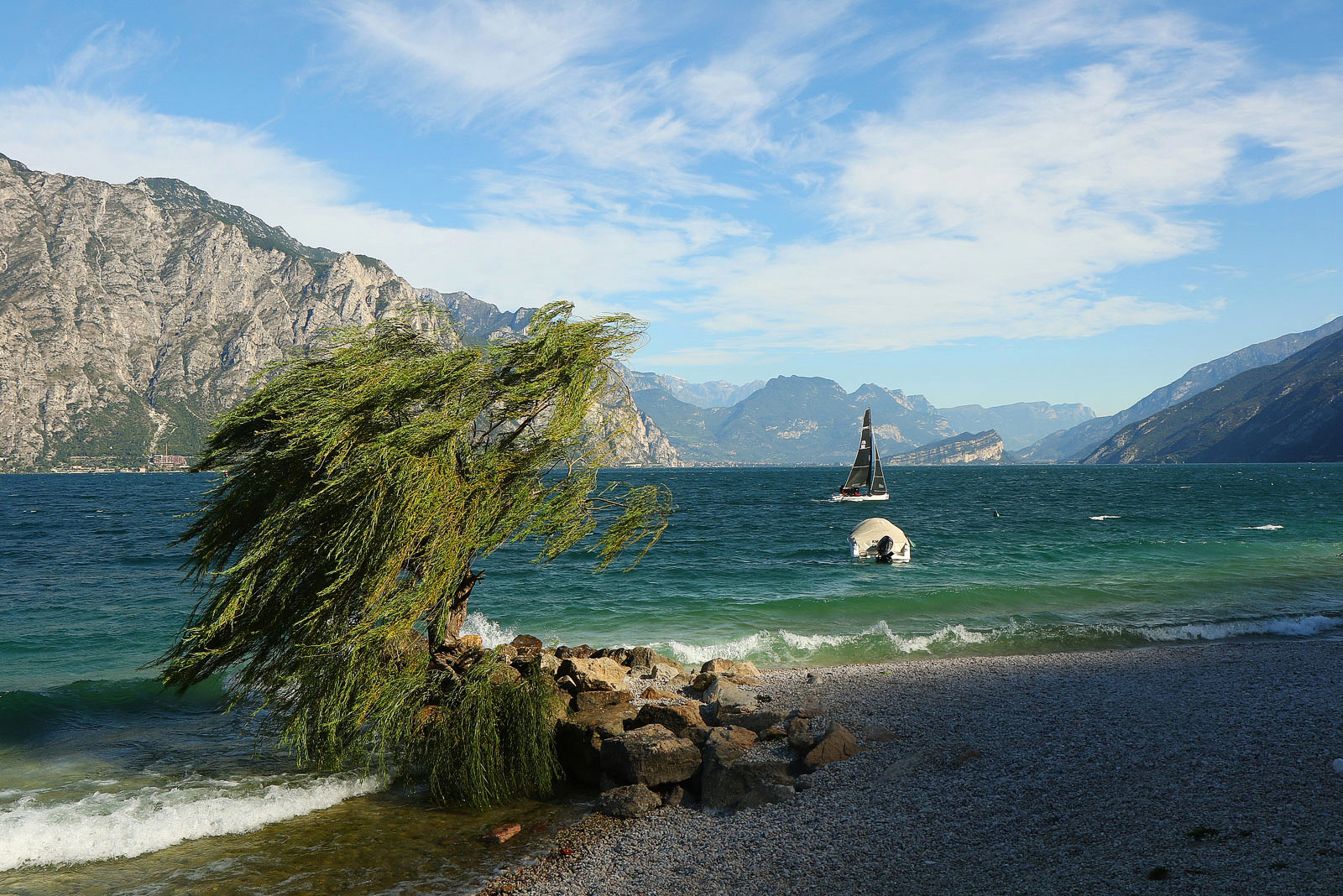 Schöner Segelwind am Gardasee