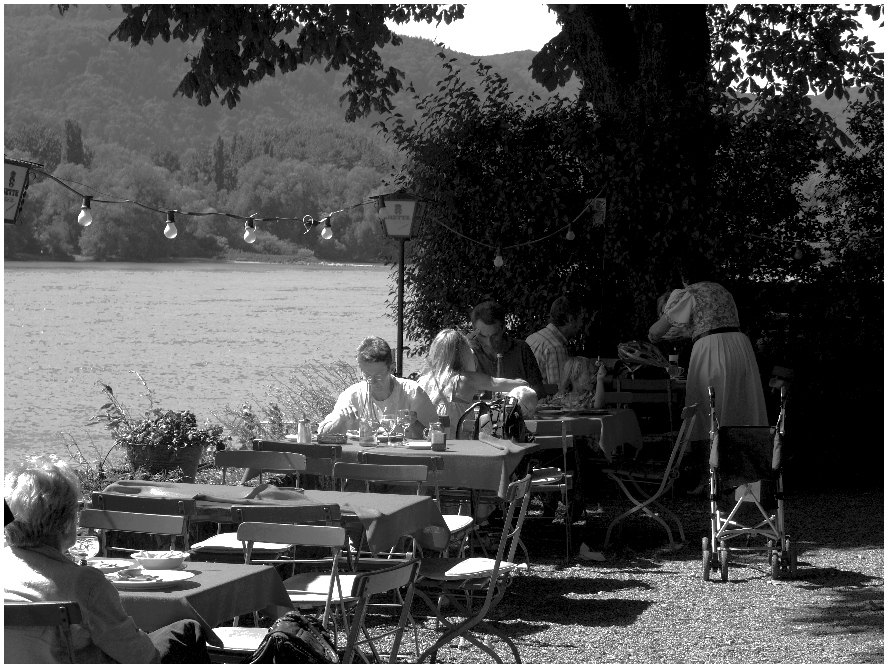 Schöner Sitzen ... am Rhein 2