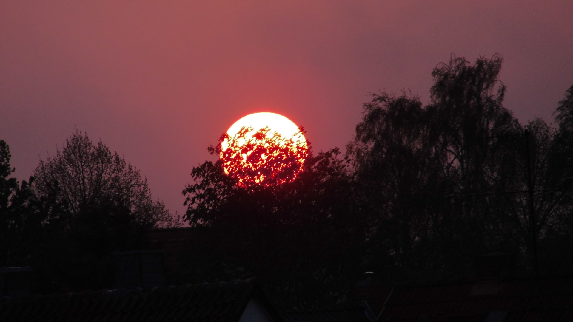 Schöner Sonnenuntergang