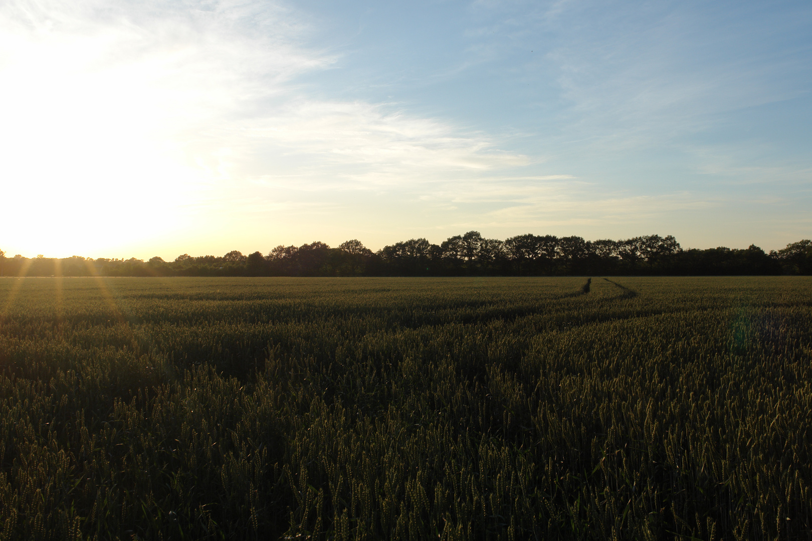 schöner Sonnenuntergang