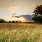 Schöner Sonnenuntergang am Abend.