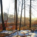 Schöner Sonnenuntergang im Schnee