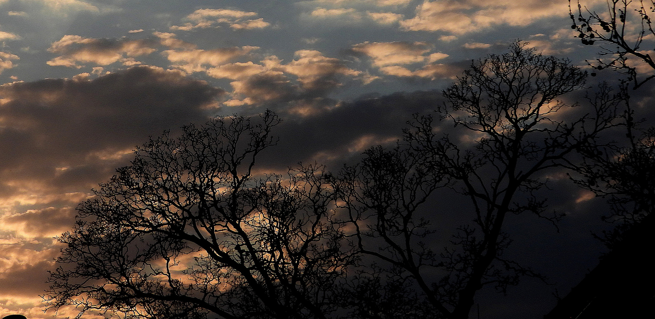 Schöner Sonnenuntergang in der Vorstadt zu Wien