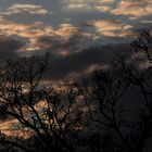 Schöner Sonnenuntergang in der Vorstadt zu Wien