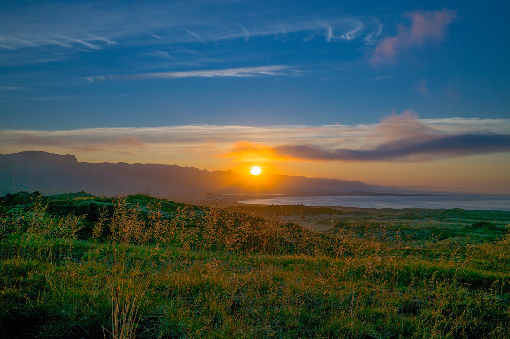 schöner Sonnenuntergang mit goldenem Gras