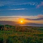 schöner Sonnenuntergang mit goldenem Gras