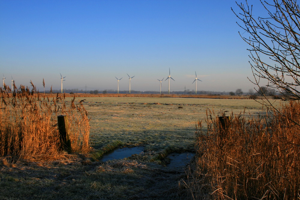 Schöner sonniger Tag