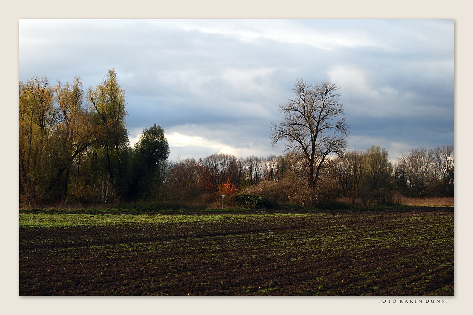 schöner Spätherbst