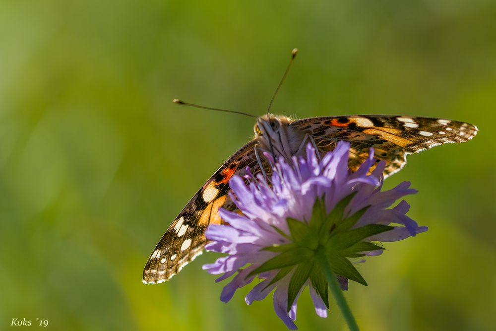 Schöner Spätsommer