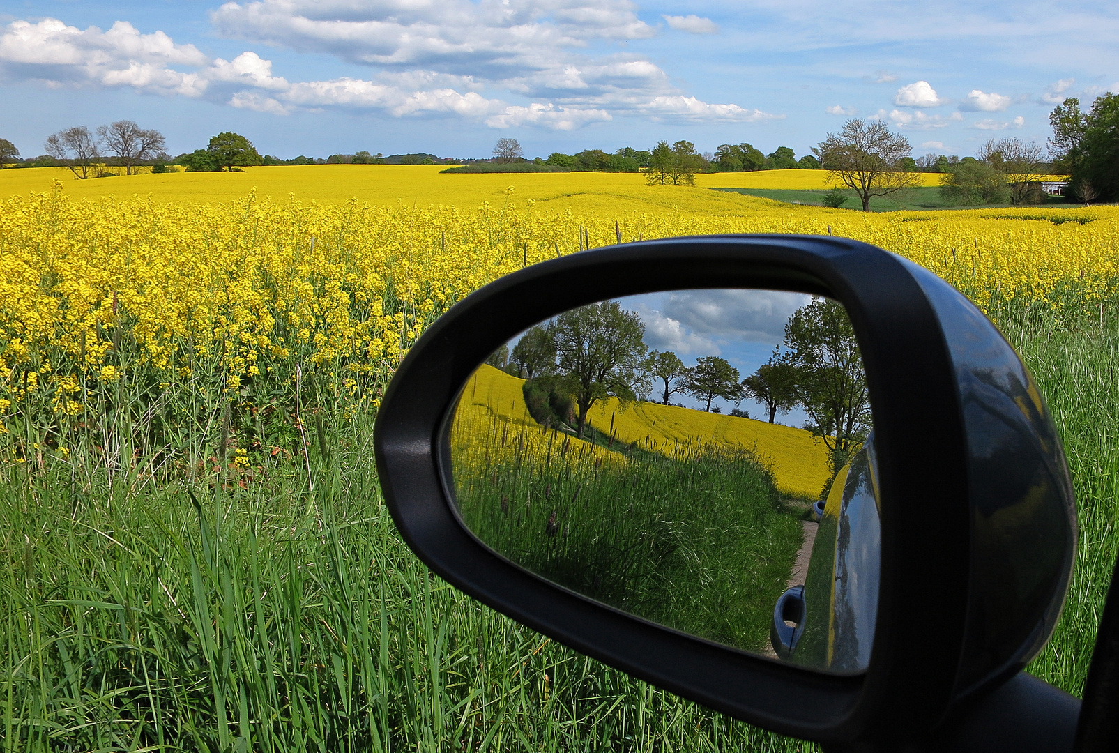 Schöner Spiegelblick