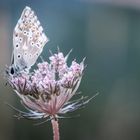 Schöner Startplatz