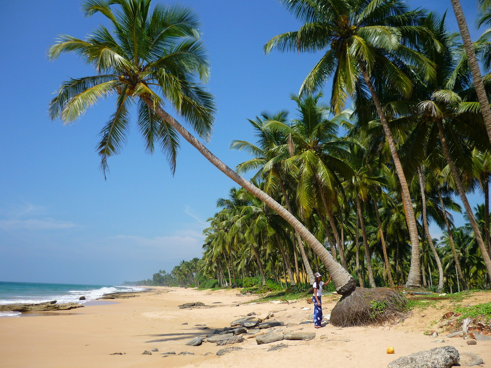 Schöner Strand Sri Lanka