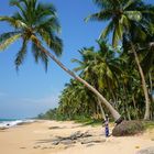 Schöner Strand Sri Lanka