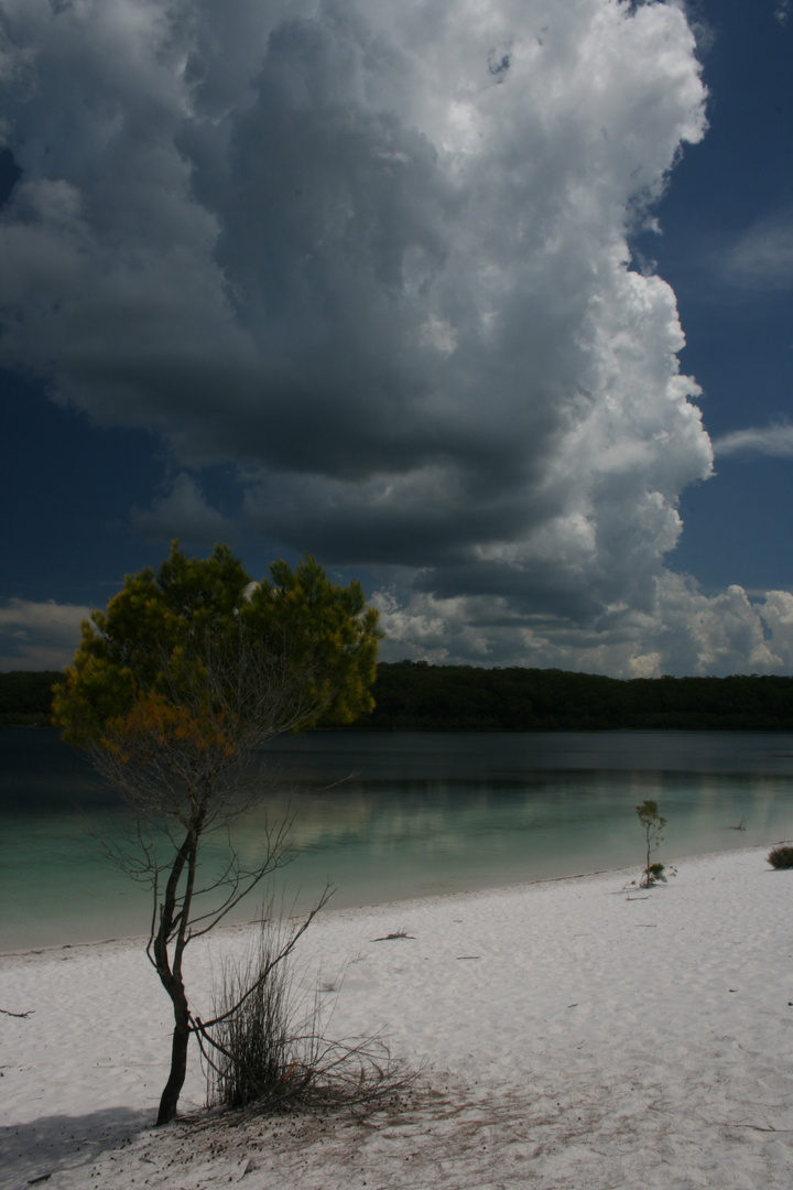 Schöner Tag am Lake Mckenzi