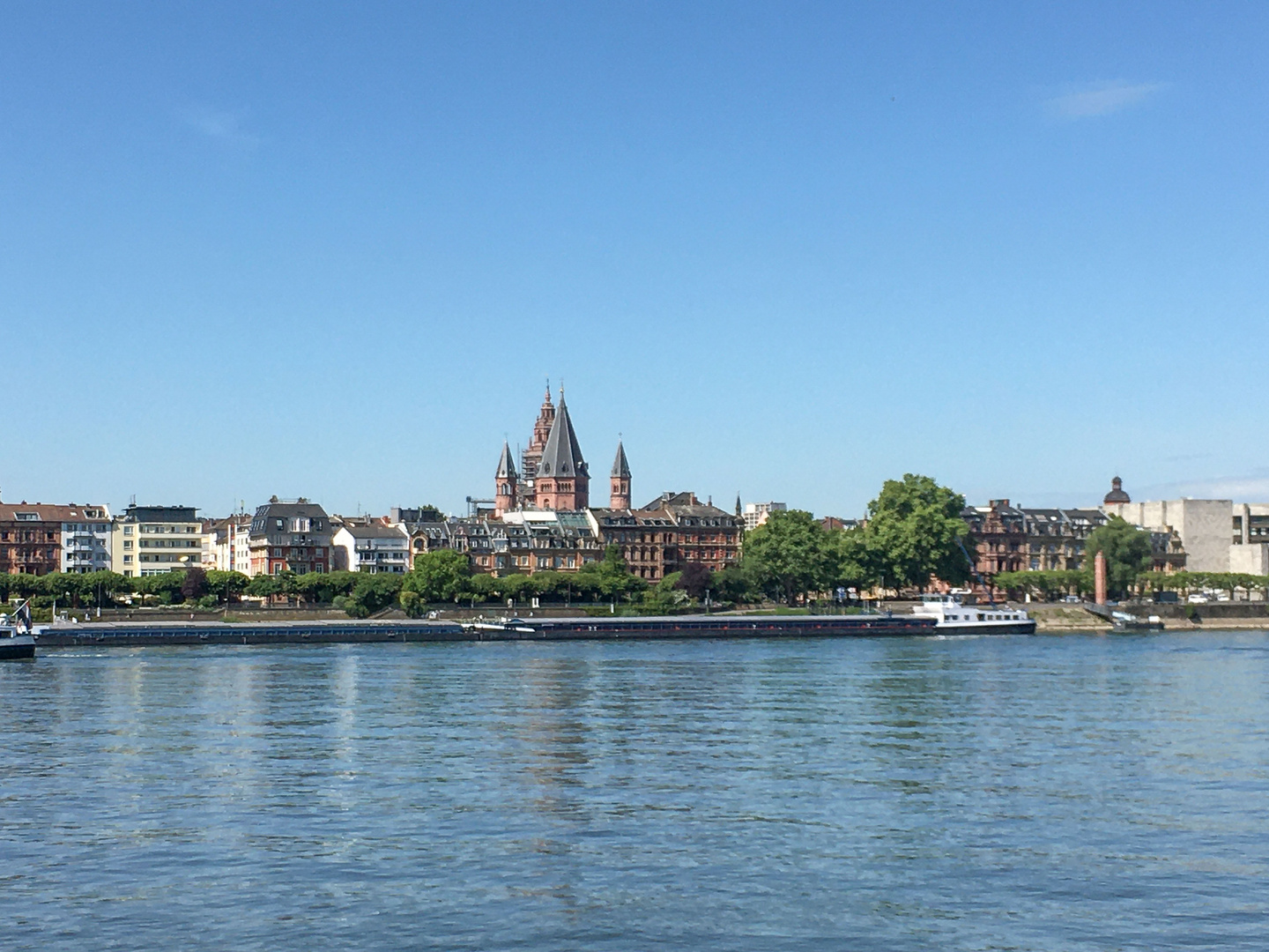 schöner Tag am Rhein