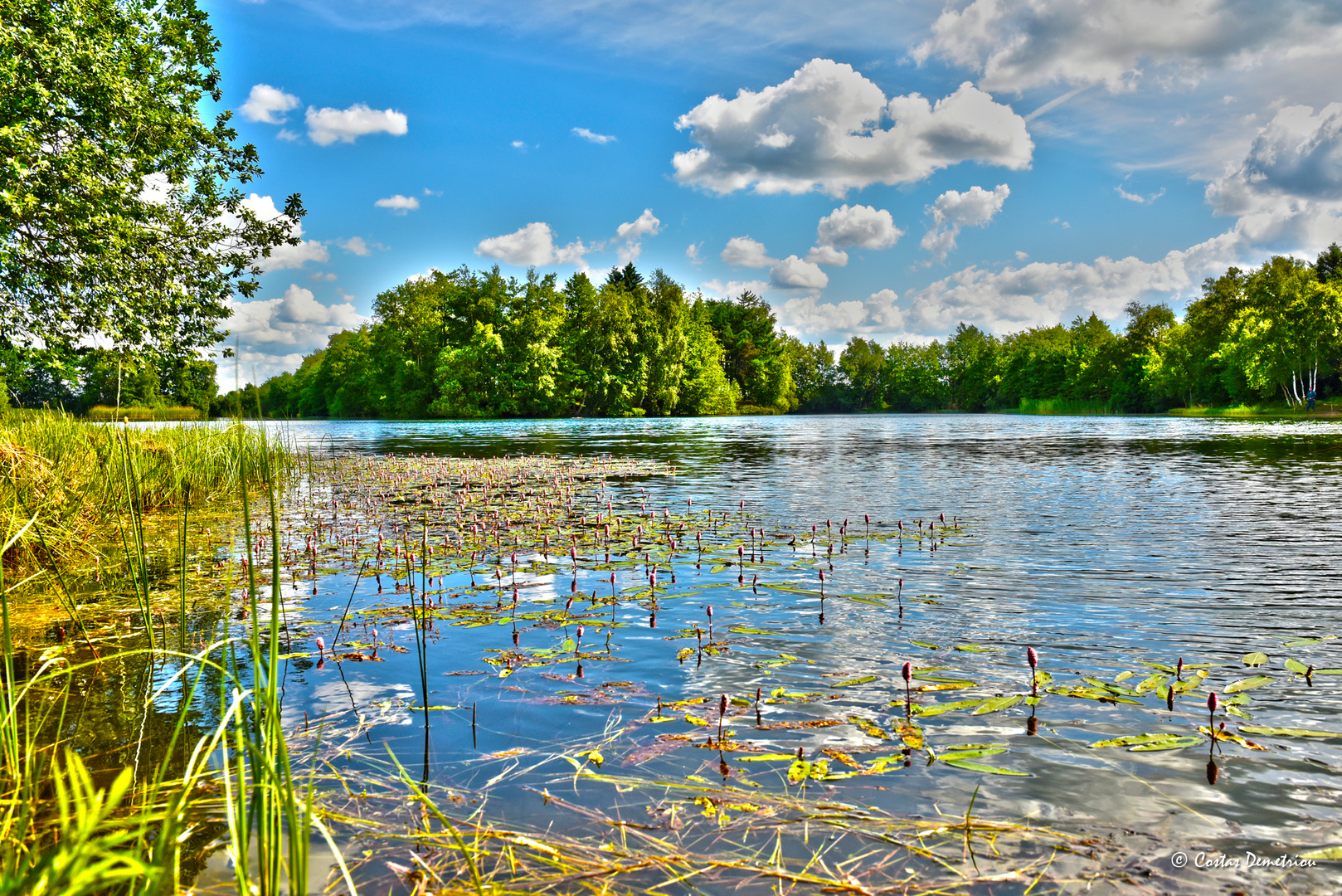 Schöner Tag am See