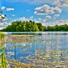 Schöner Tag am See