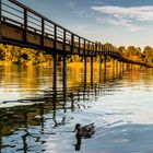 Schöner Tag an und auf der Donau 